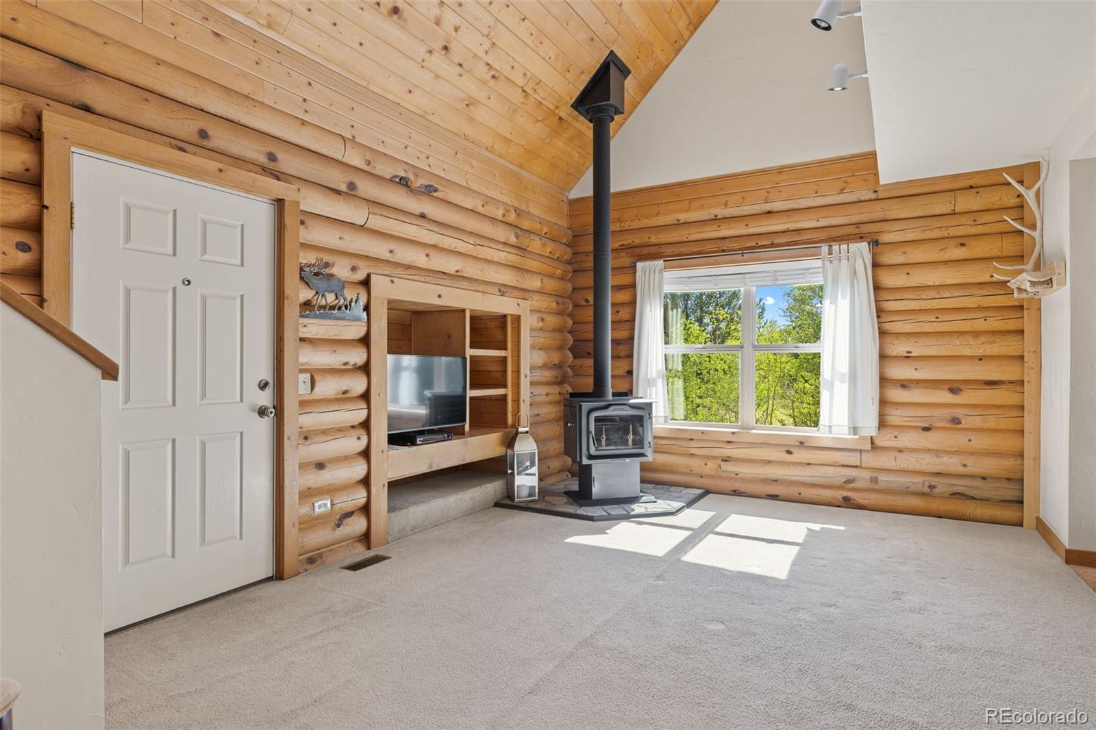MLS Image #5 for 167  stellar jay way,fairplay, Colorado