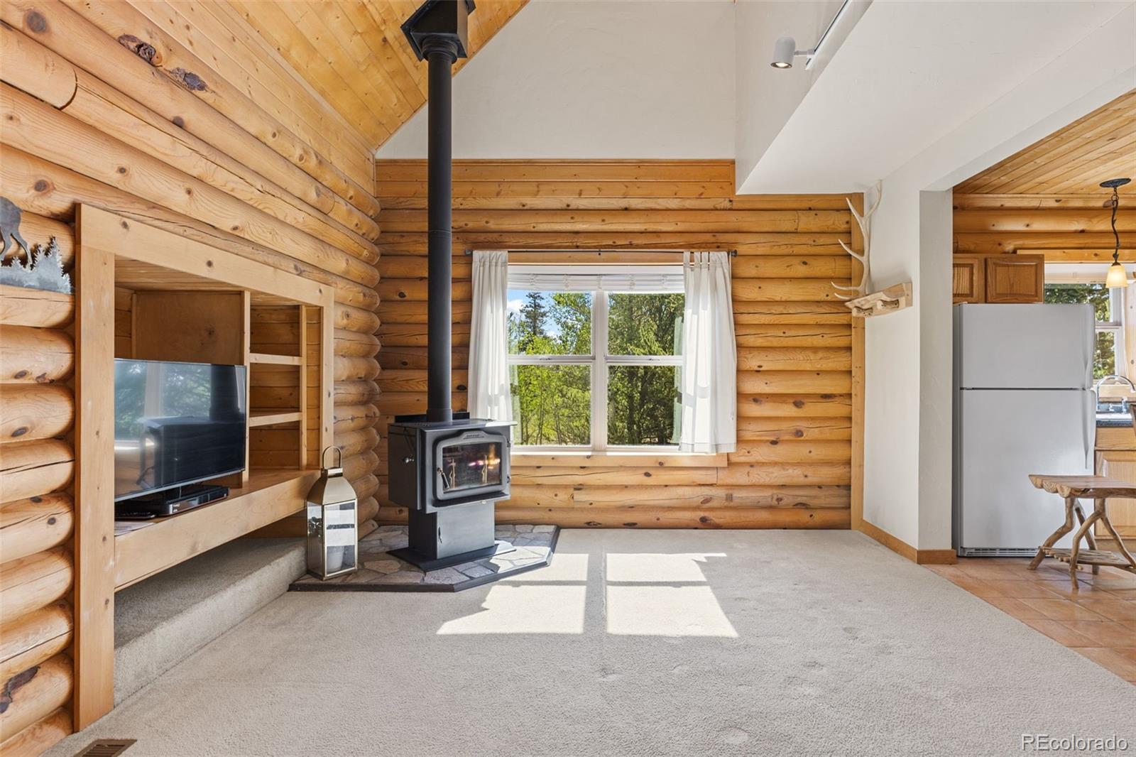 MLS Image #6 for 167  stellar jay way,fairplay, Colorado