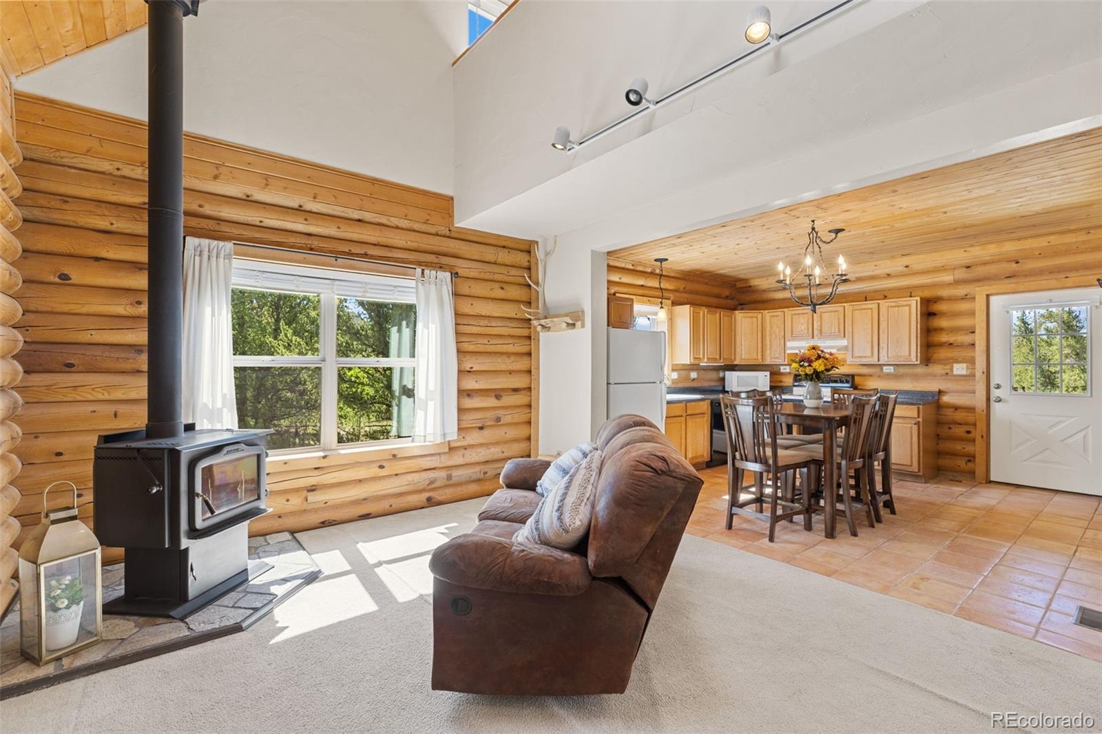 MLS Image #7 for 167  stellar jay way,fairplay, Colorado