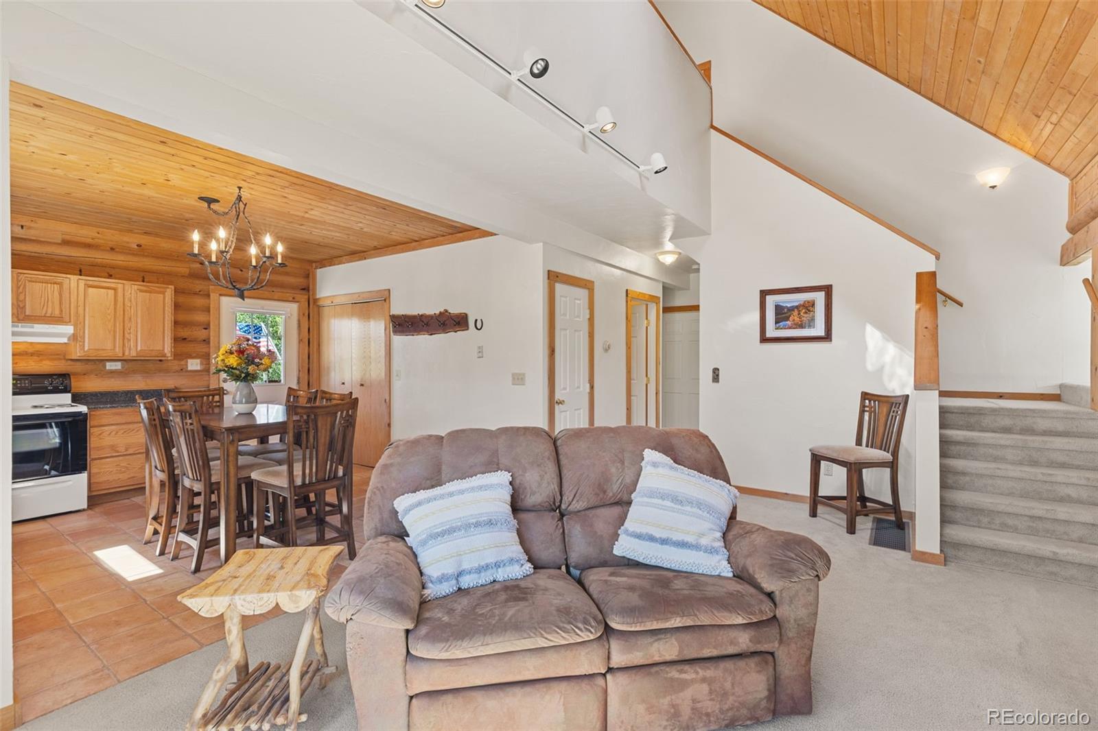 MLS Image #8 for 167  stellar jay way,fairplay, Colorado