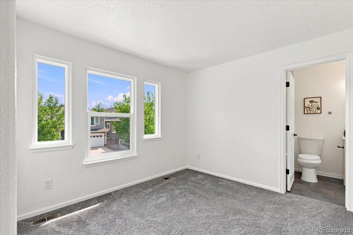MLS Image #13 for 10648  braselton street,highlands ranch, Colorado