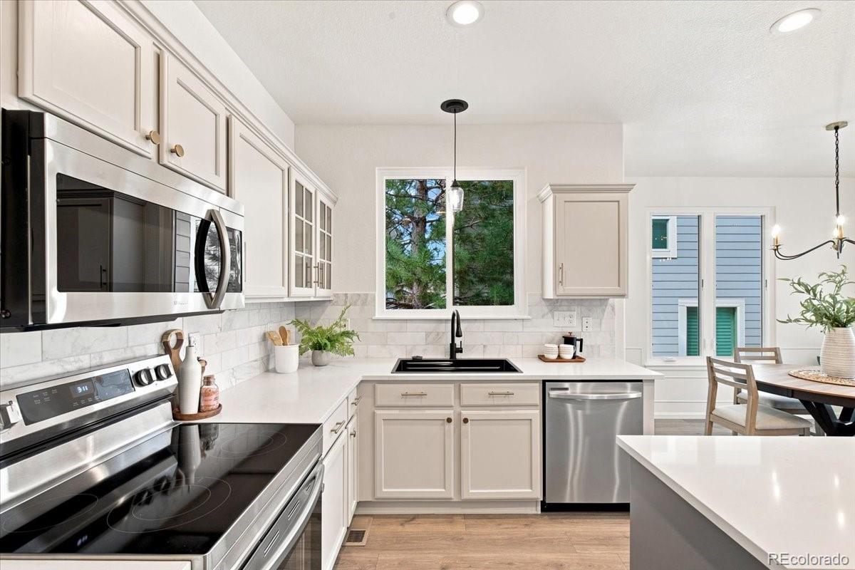 MLS Image #8 for 10648  braselton street,highlands ranch, Colorado