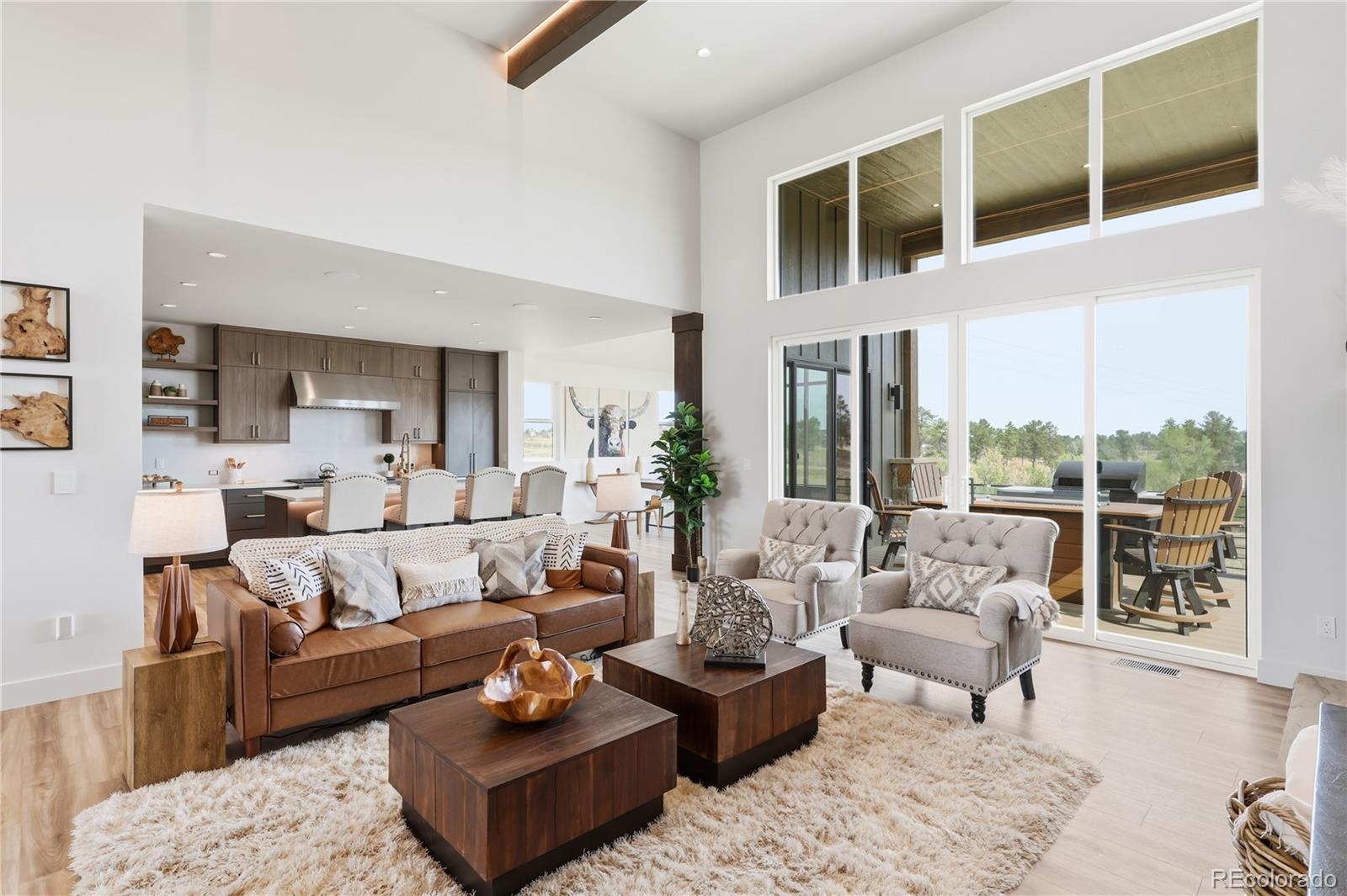 MLS Image #12 for 10201  inspiration drive,parker, Colorado