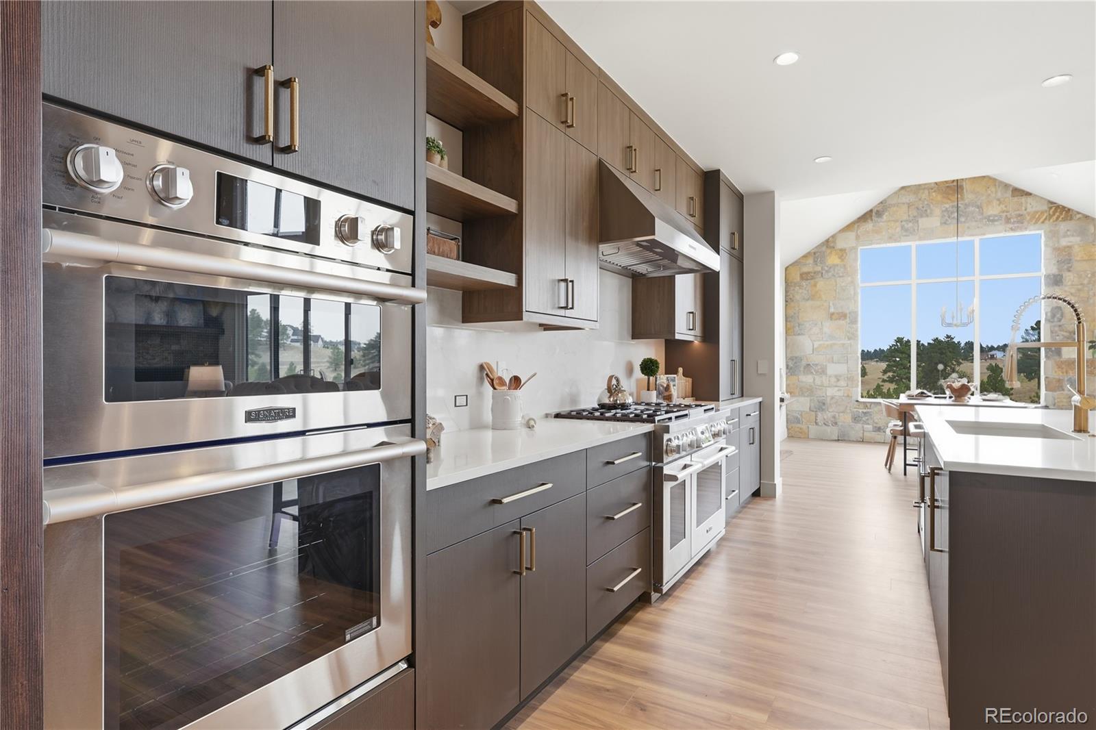 MLS Image #5 for 10201  inspiration drive,parker, Colorado