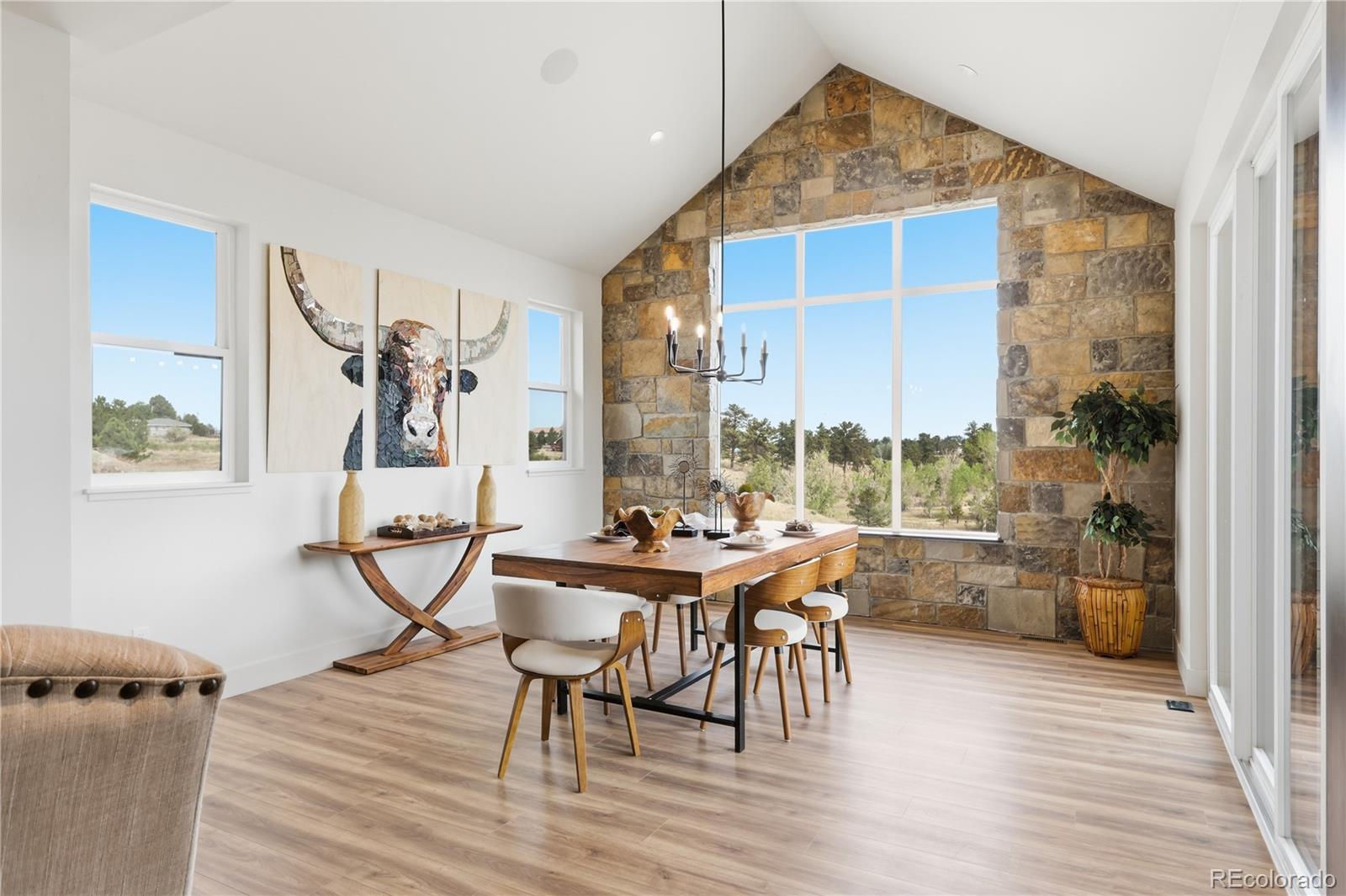 MLS Image #7 for 10201  inspiration drive,parker, Colorado