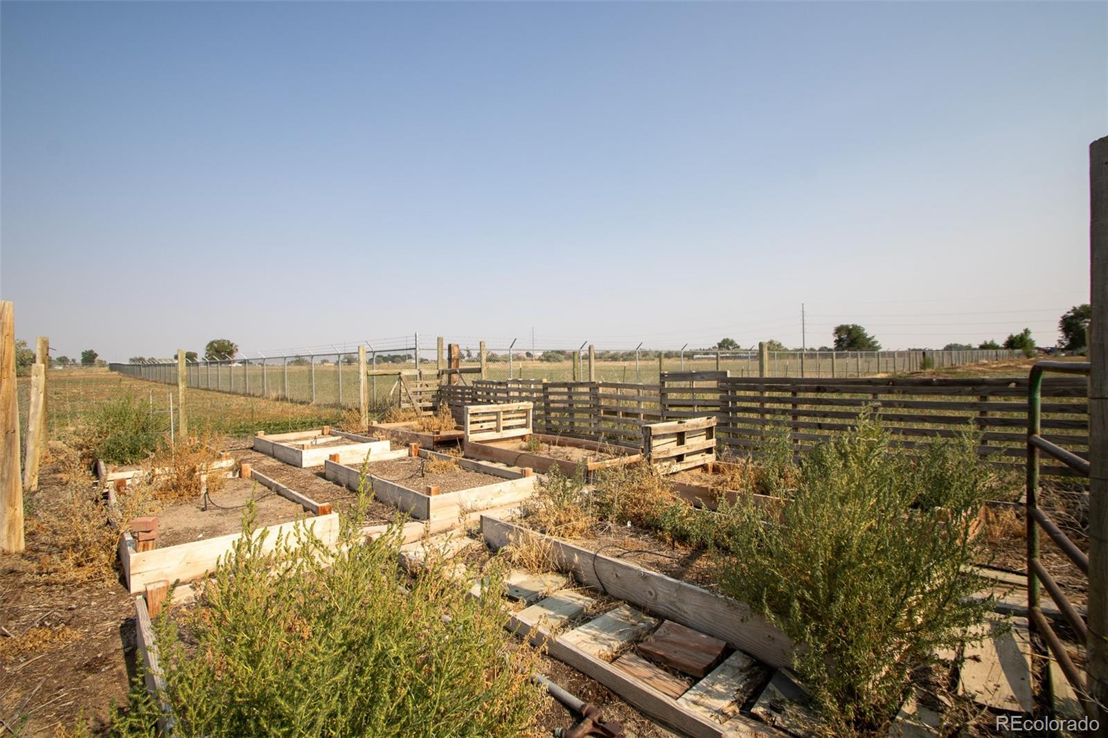 MLS Image #35 for 13498  county road 6 ,fort lupton, Colorado