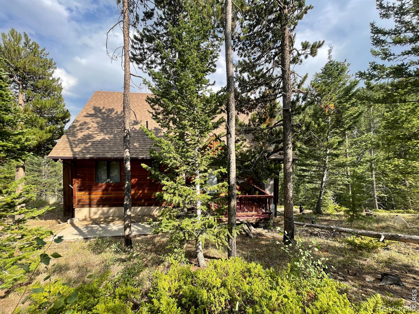 MLS Image #1 for 785 s skinner road,allenspark, Colorado