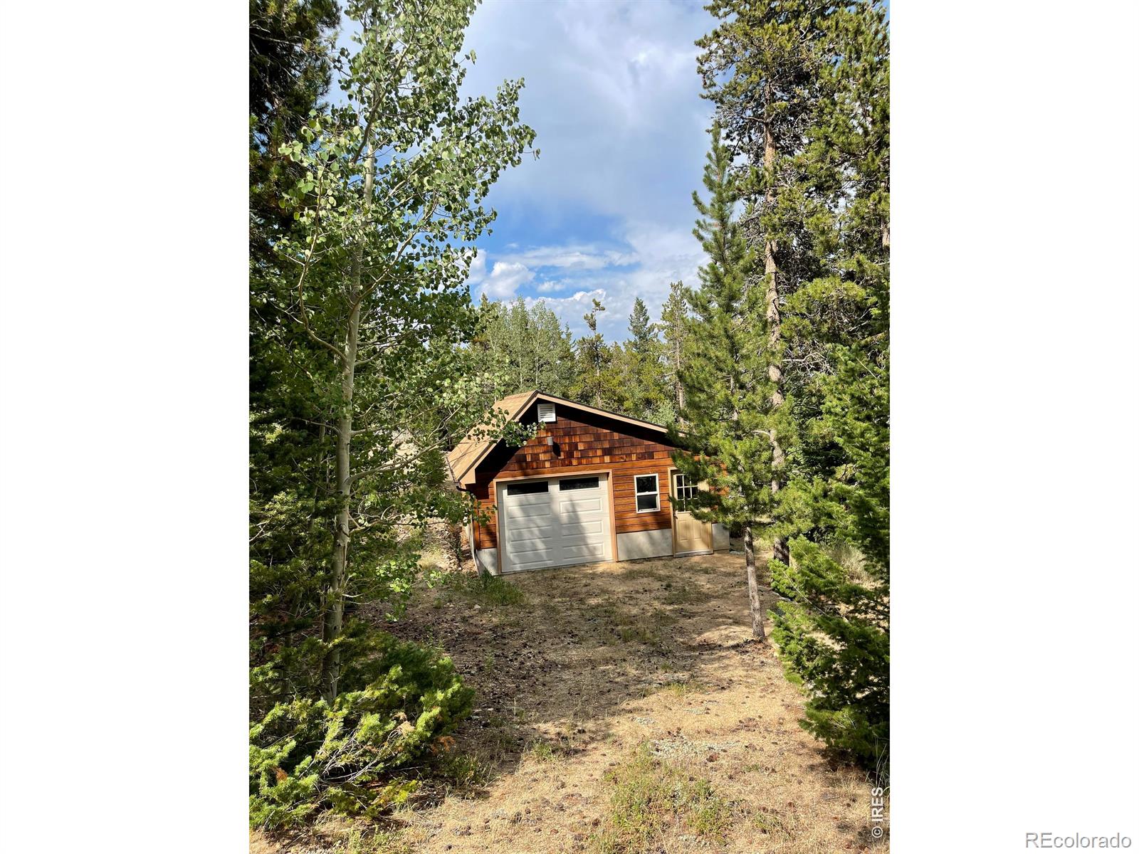 MLS Image #10 for 785 s skinner road,allenspark, Colorado