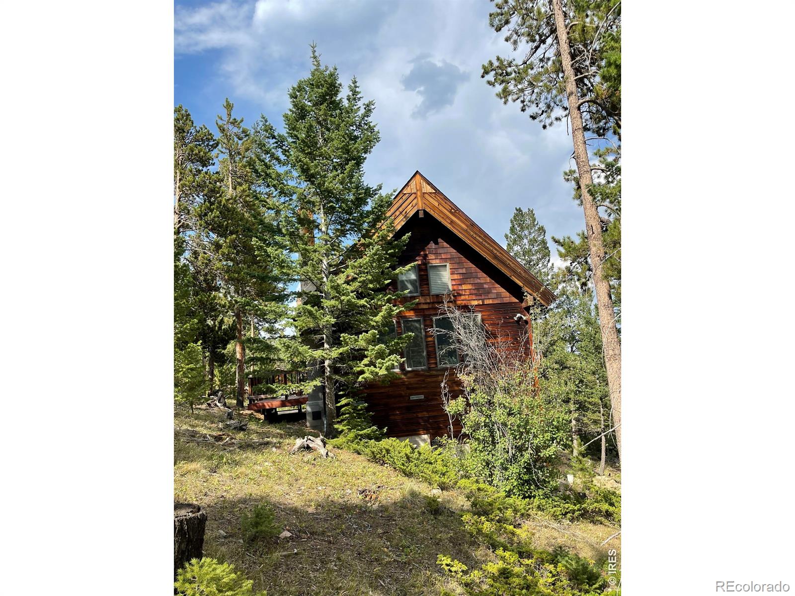 MLS Image #12 for 785 s skinner road,allenspark, Colorado