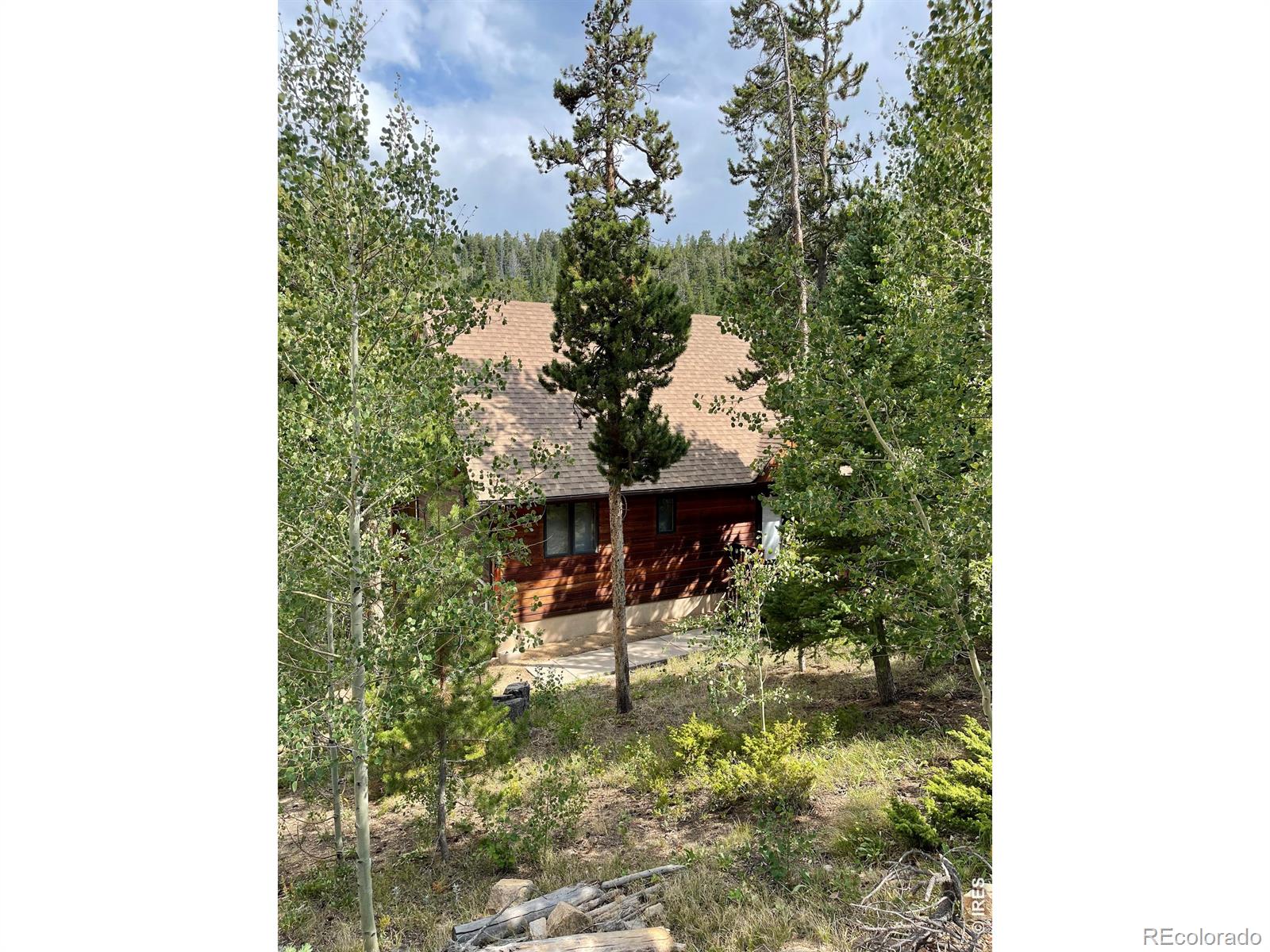 MLS Image #13 for 785 s skinner road,allenspark, Colorado