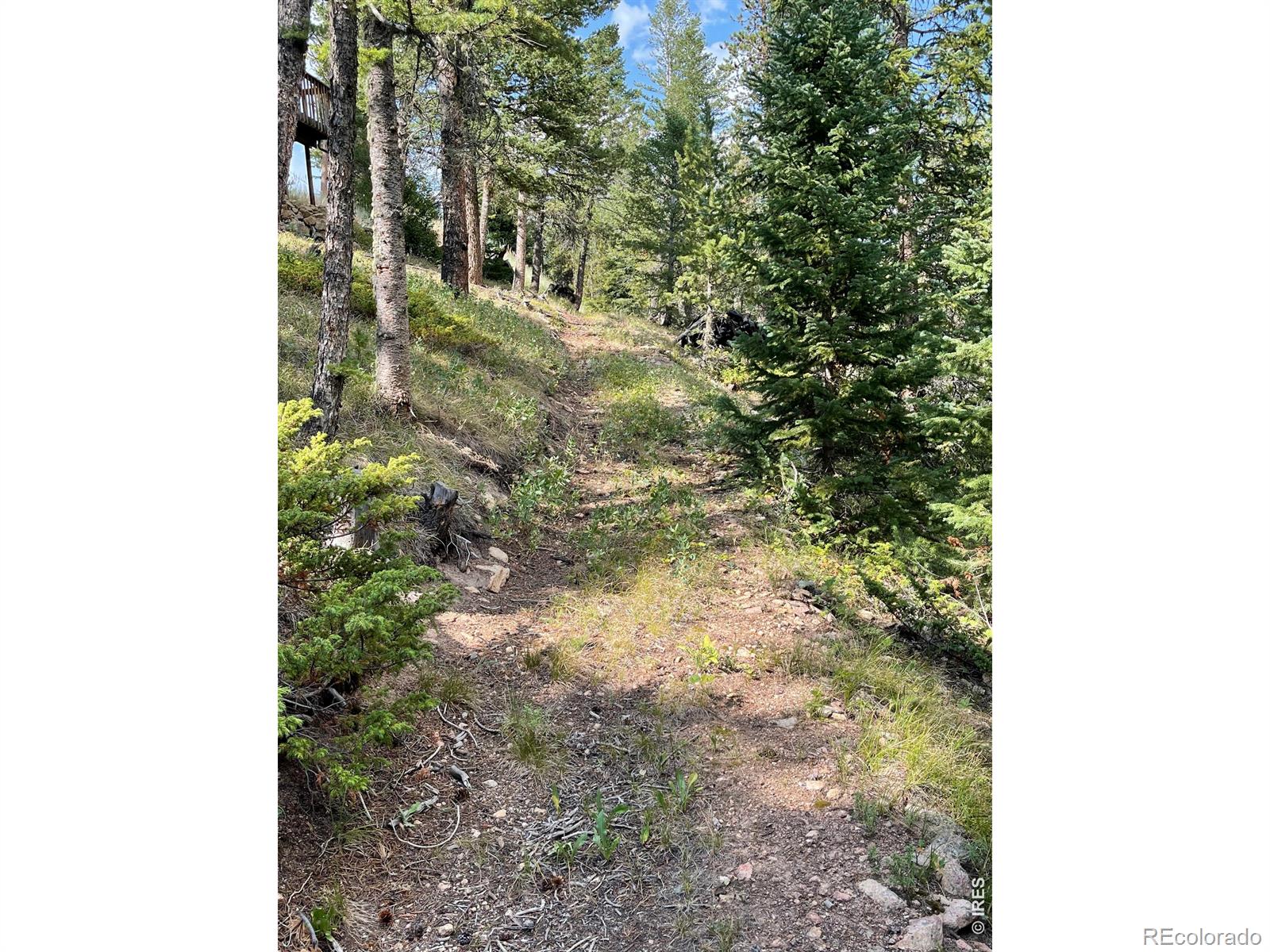 MLS Image #14 for 785 s skinner road,allenspark, Colorado