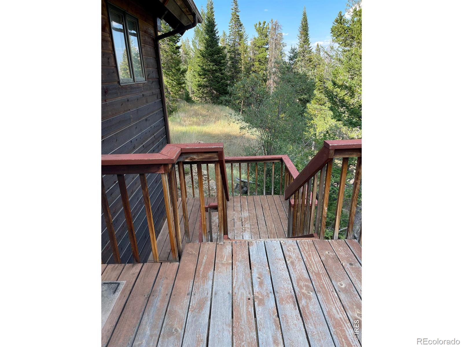 MLS Image #16 for 785 s skinner road,allenspark, Colorado