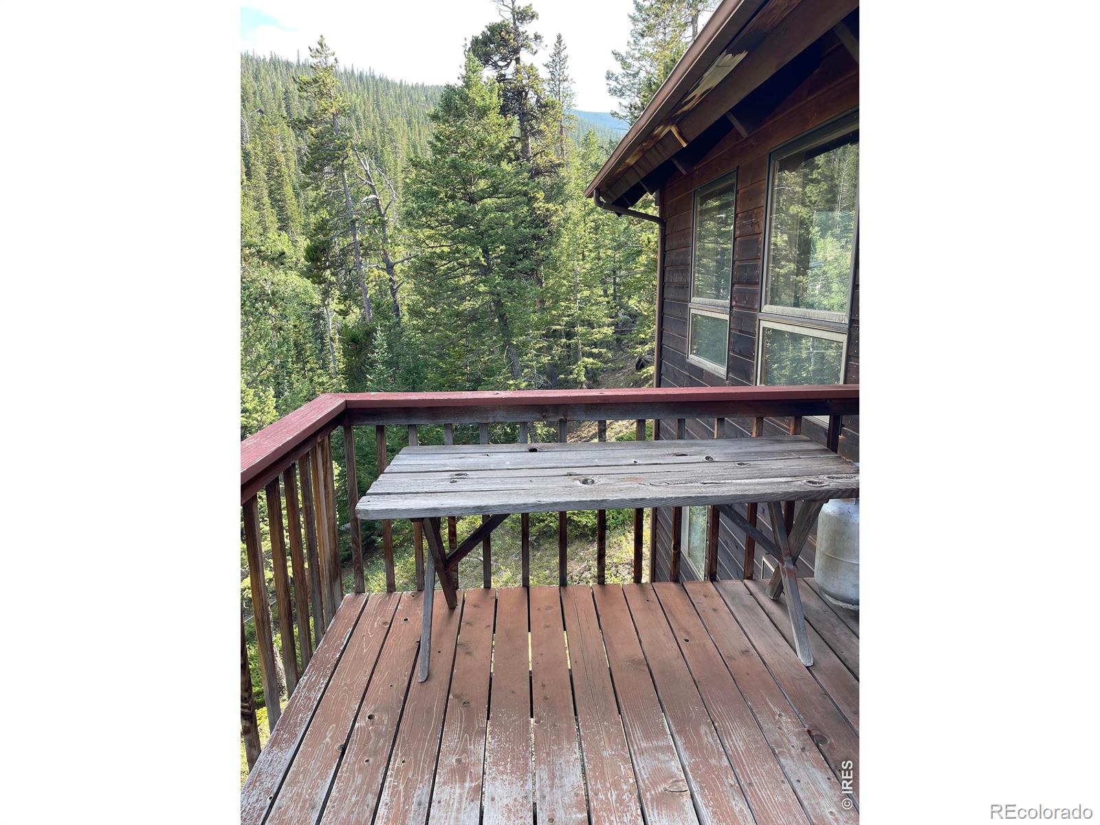 MLS Image #17 for 785 s skinner road,allenspark, Colorado