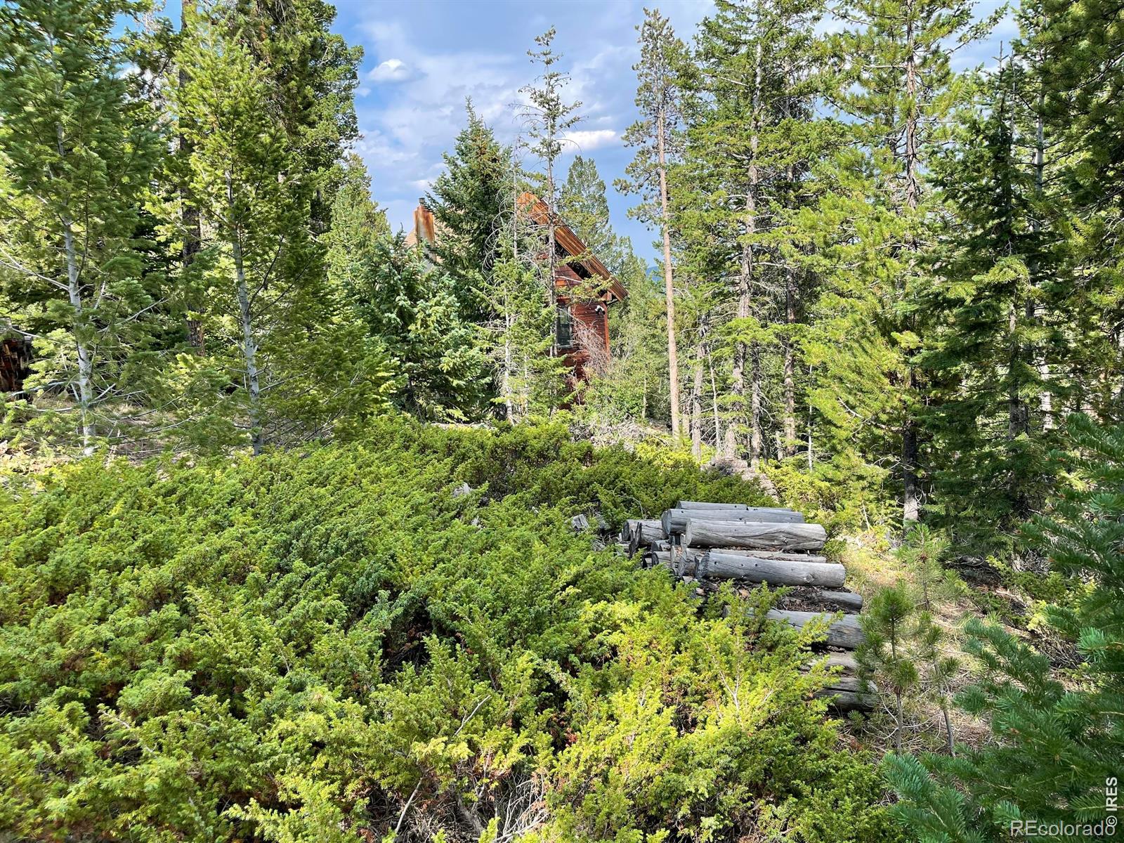 MLS Image #18 for 785 s skinner road,allenspark, Colorado