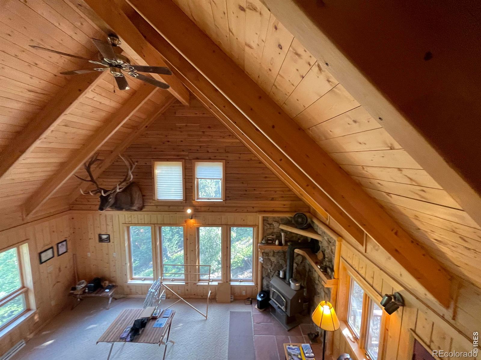 MLS Image #19 for 785 s skinner road,allenspark, Colorado