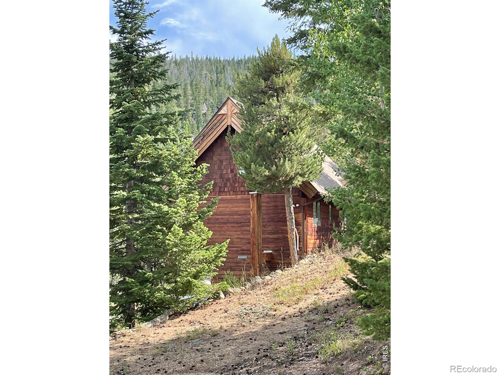 MLS Image #2 for 785 s skinner road,allenspark, Colorado