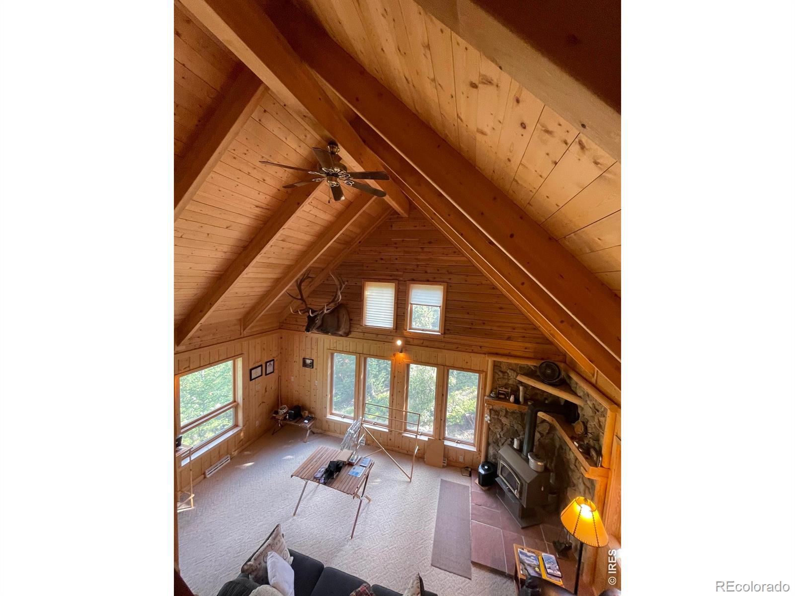 MLS Image #21 for 785 s skinner road,allenspark, Colorado