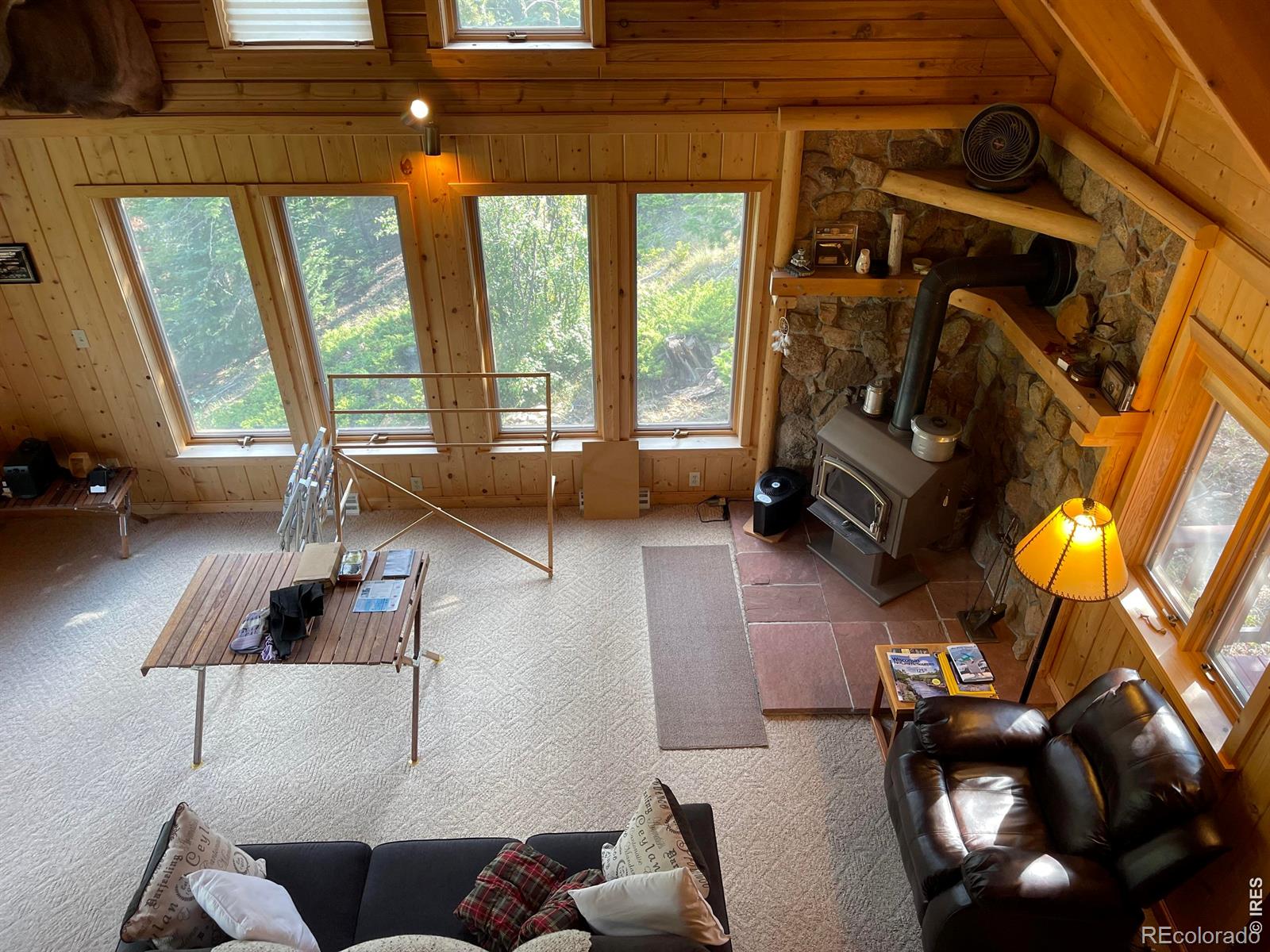 MLS Image #22 for 785 s skinner road,allenspark, Colorado