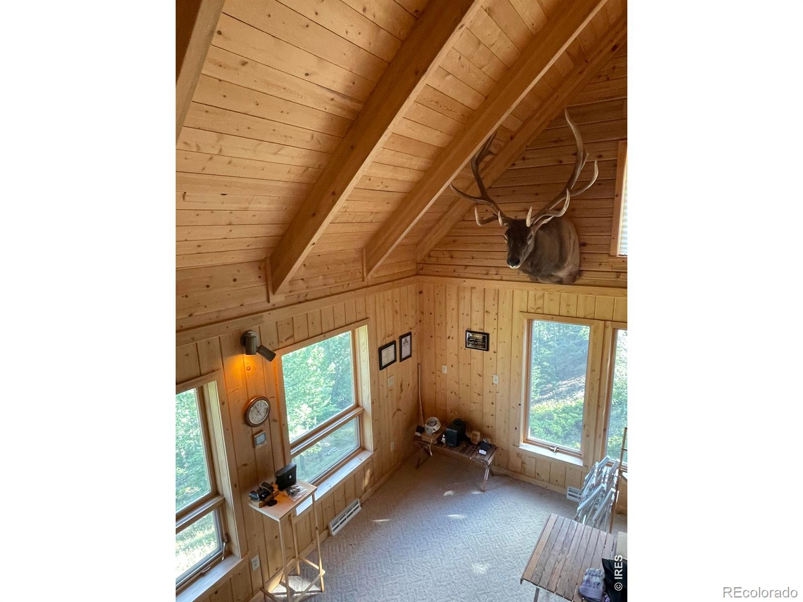 MLS Image #23 for 785 s skinner road,allenspark, Colorado