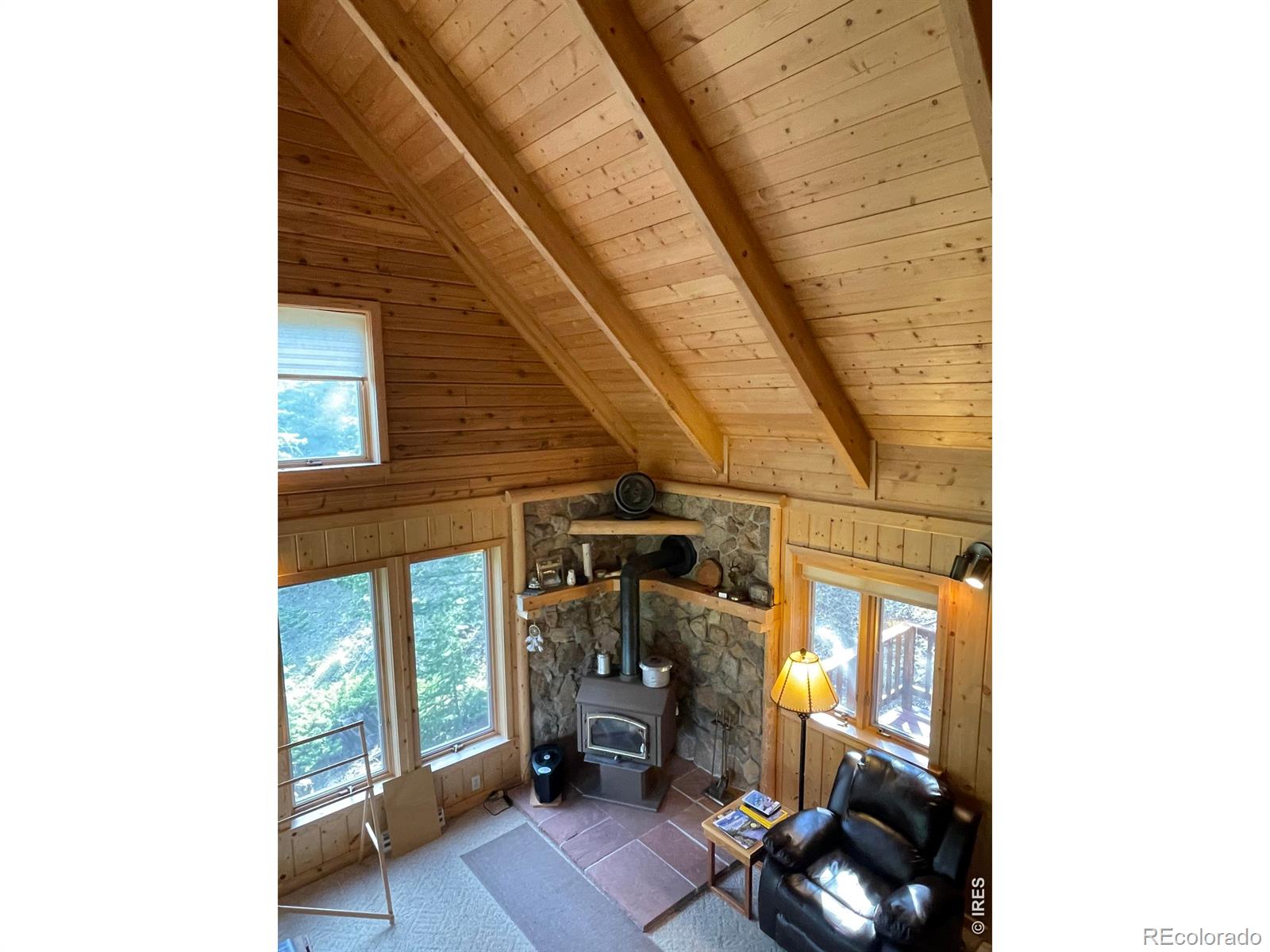 MLS Image #24 for 785 s skinner road,allenspark, Colorado