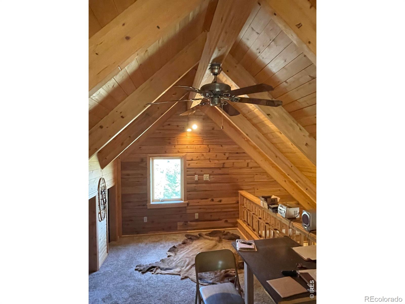 MLS Image #27 for 785 s skinner road,allenspark, Colorado