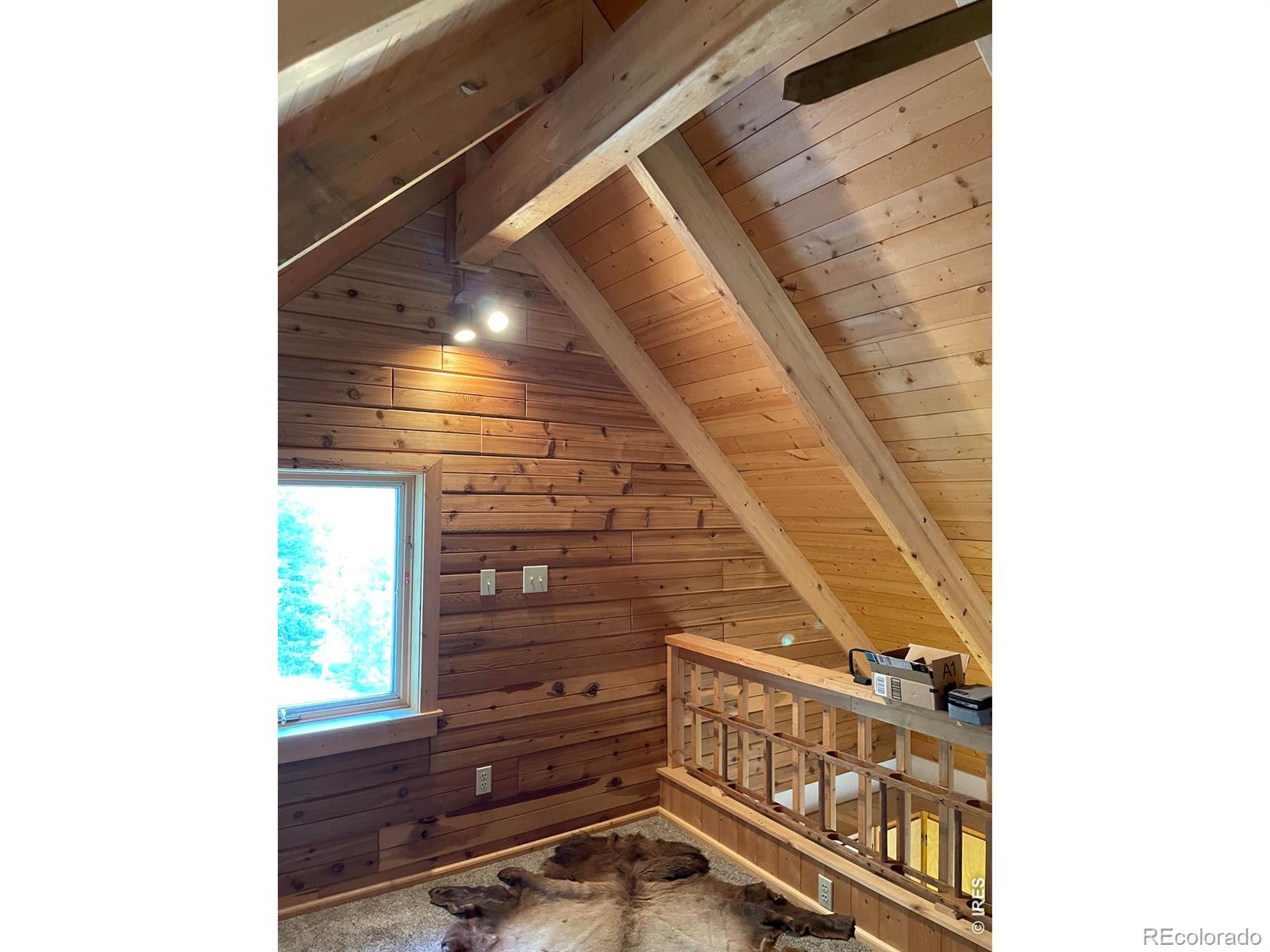 MLS Image #28 for 785 s skinner road,allenspark, Colorado