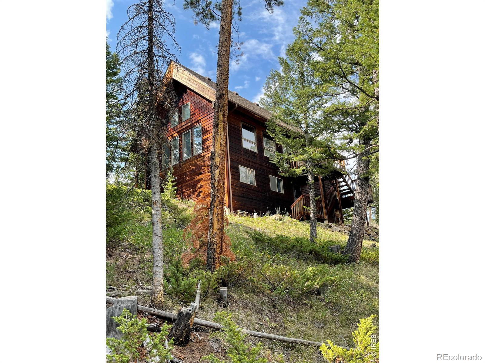 MLS Image #3 for 785 s skinner road,allenspark, Colorado