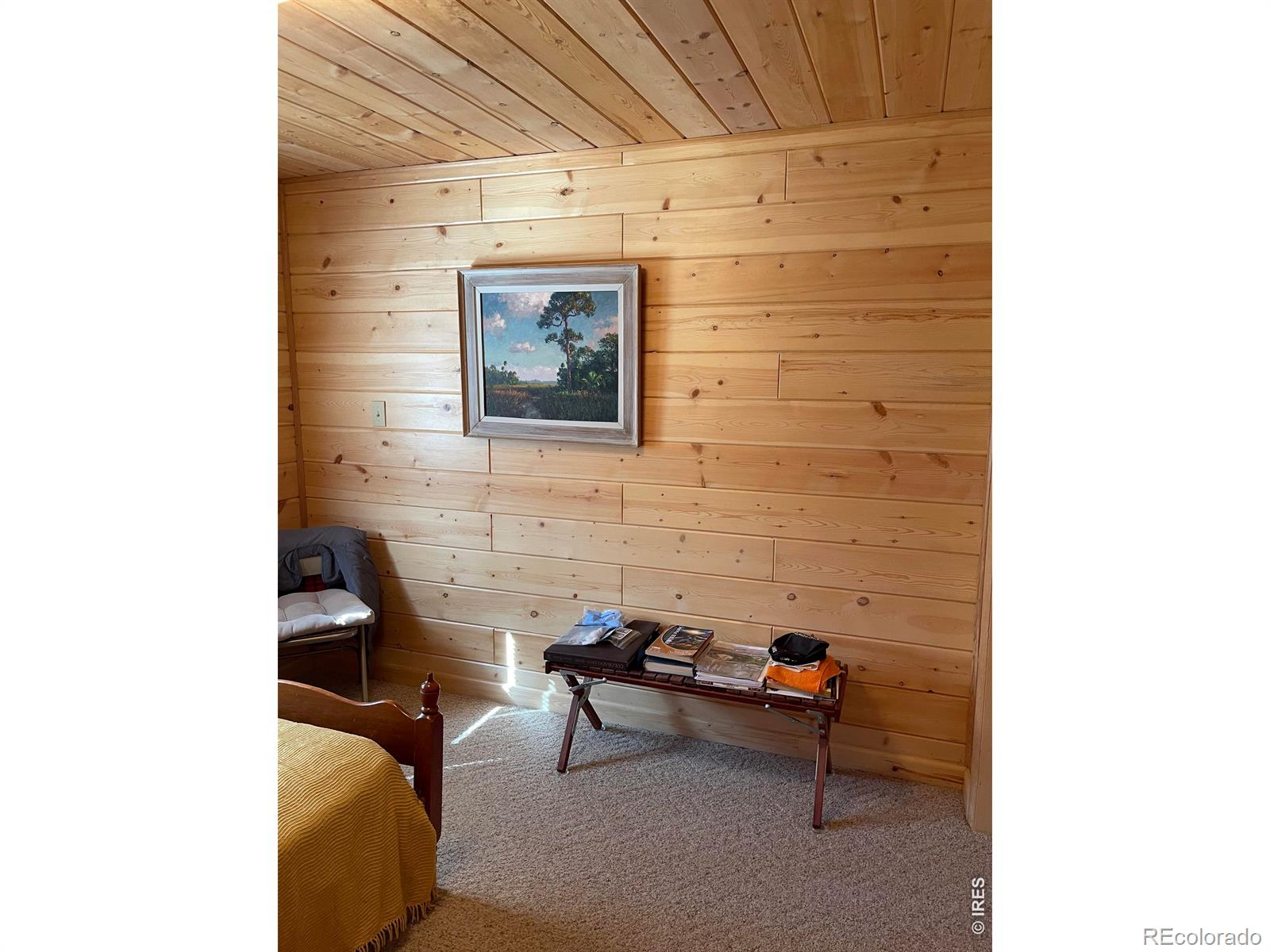 MLS Image #31 for 785 s skinner road,allenspark, Colorado