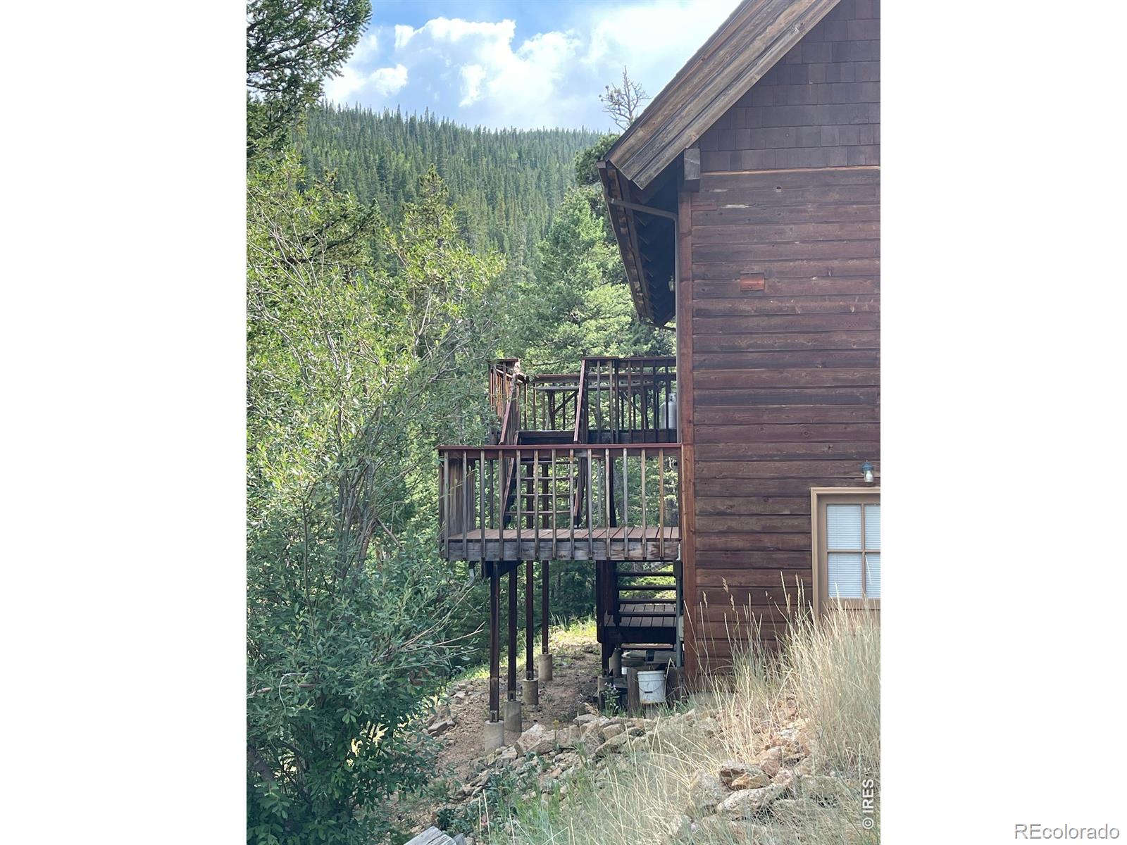 MLS Image #4 for 785 s skinner road,allenspark, Colorado