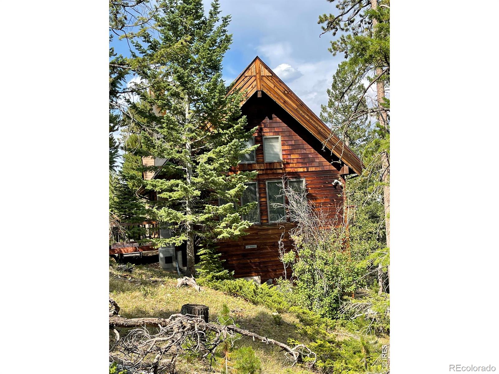 MLS Image #5 for 785 s skinner road,allenspark, Colorado