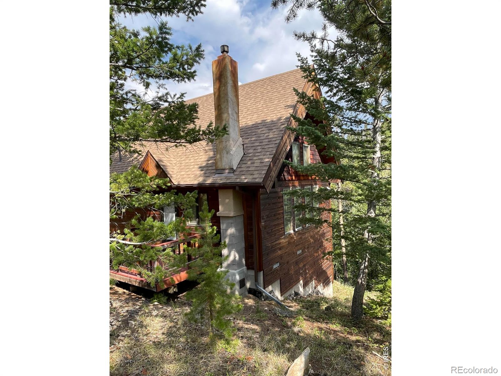 MLS Image #6 for 785 s skinner road,allenspark, Colorado