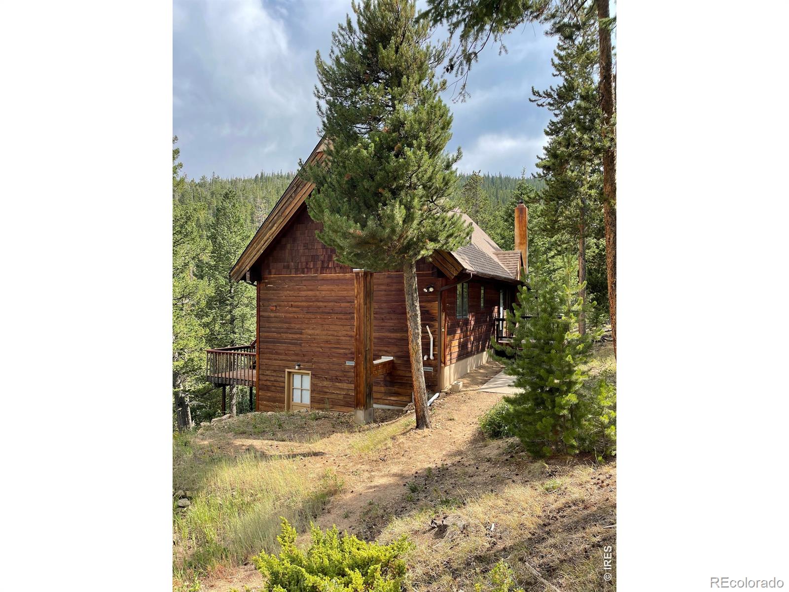 MLS Image #8 for 785 s skinner road,allenspark, Colorado