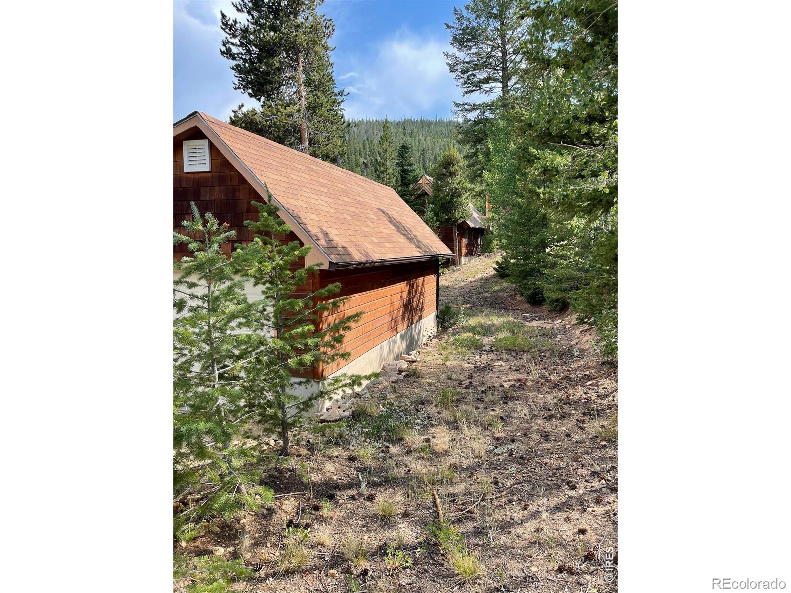 MLS Image #9 for 785 s skinner road,allenspark, Colorado