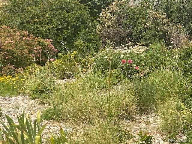 MLS Image #44 for 12730  summit ridge road,parker, Colorado
