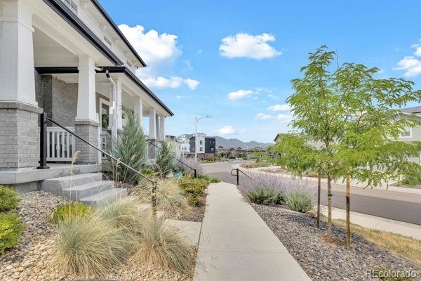 MLS Image #1 for 8417  mount kataka street,littleton, Colorado