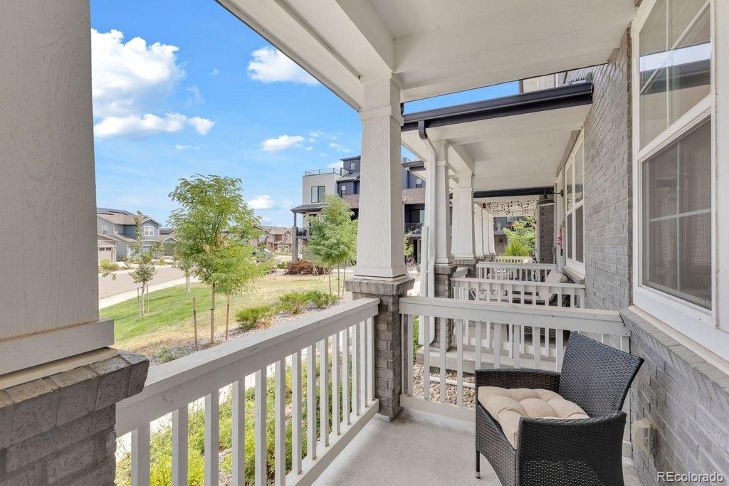MLS Image #25 for 8417  mount kataka street,littleton, Colorado