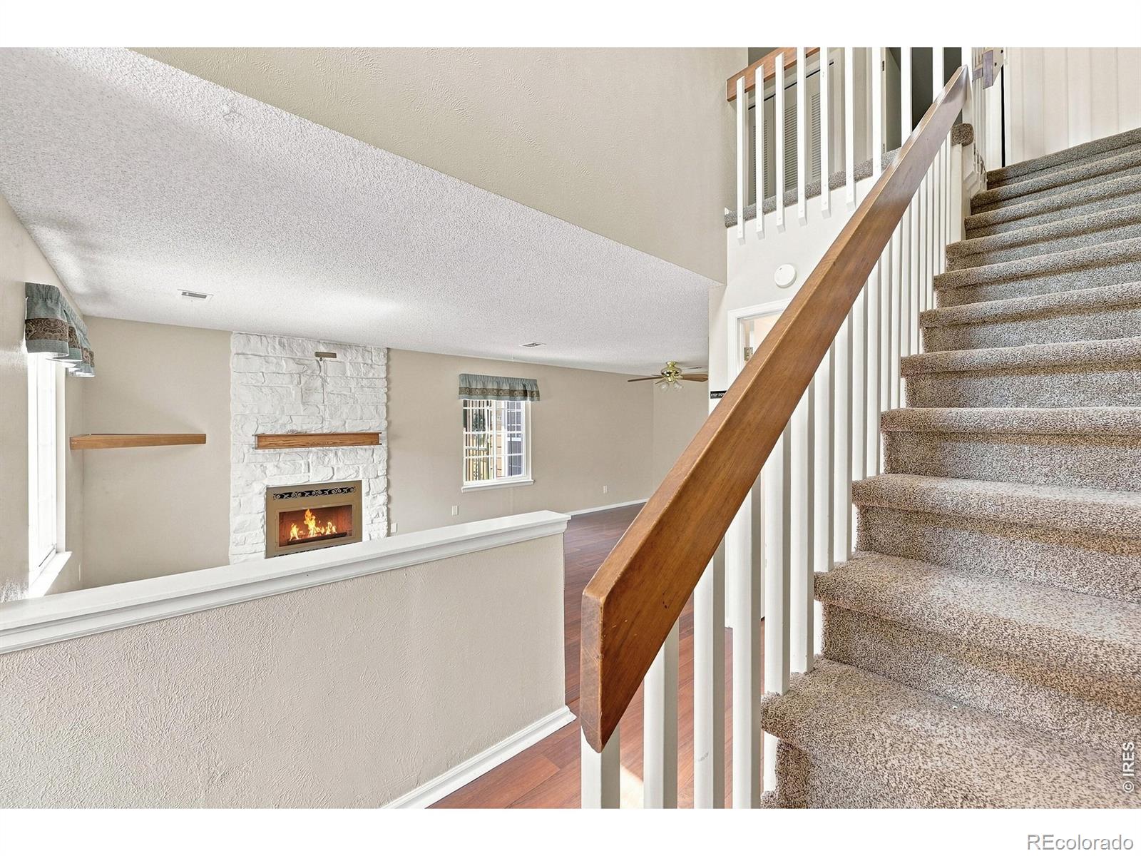 MLS Image #13 for 8477  everett way,arvada, Colorado