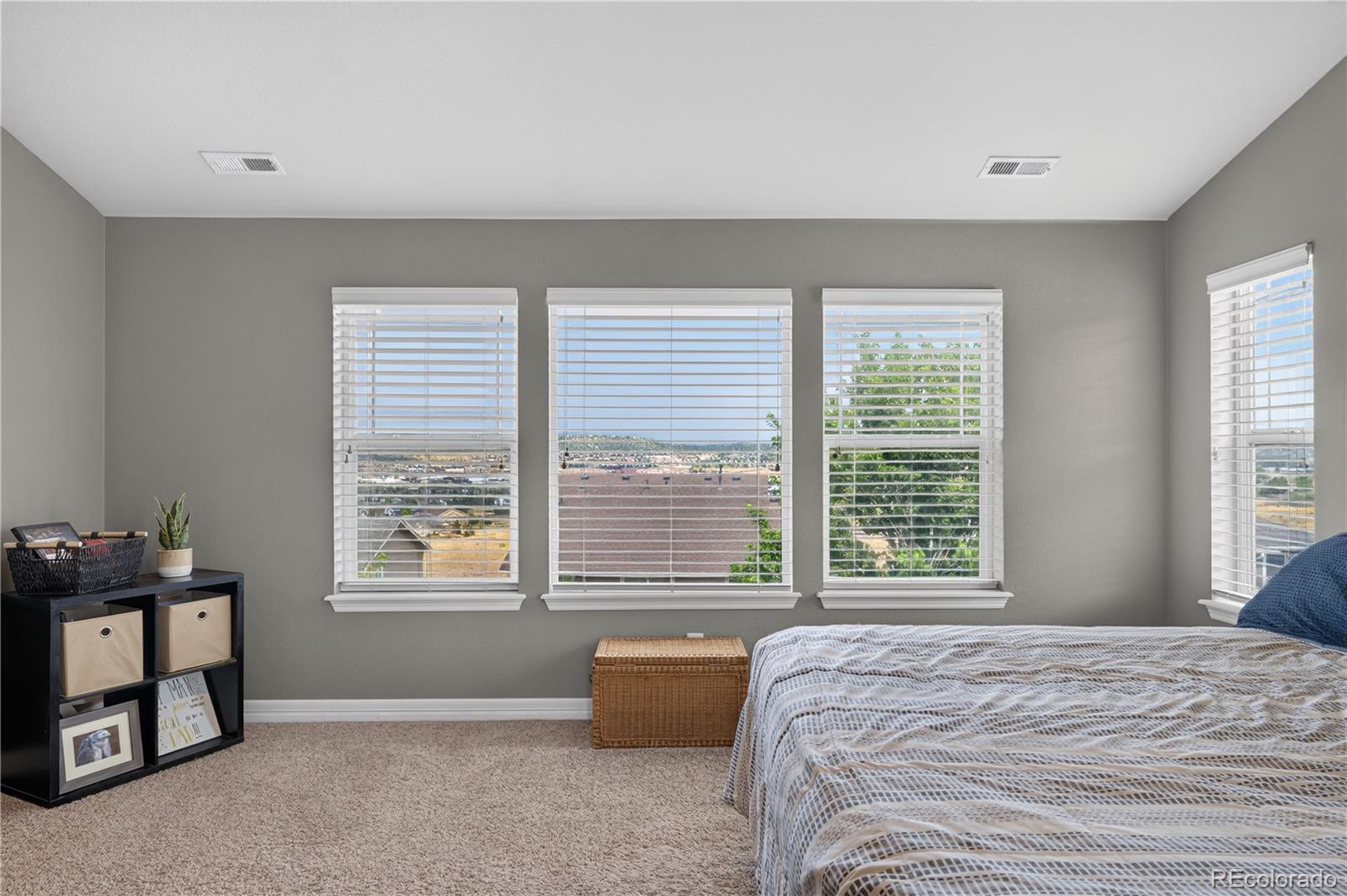 MLS Image #24 for 2318  fairway wood circle,castle rock, Colorado