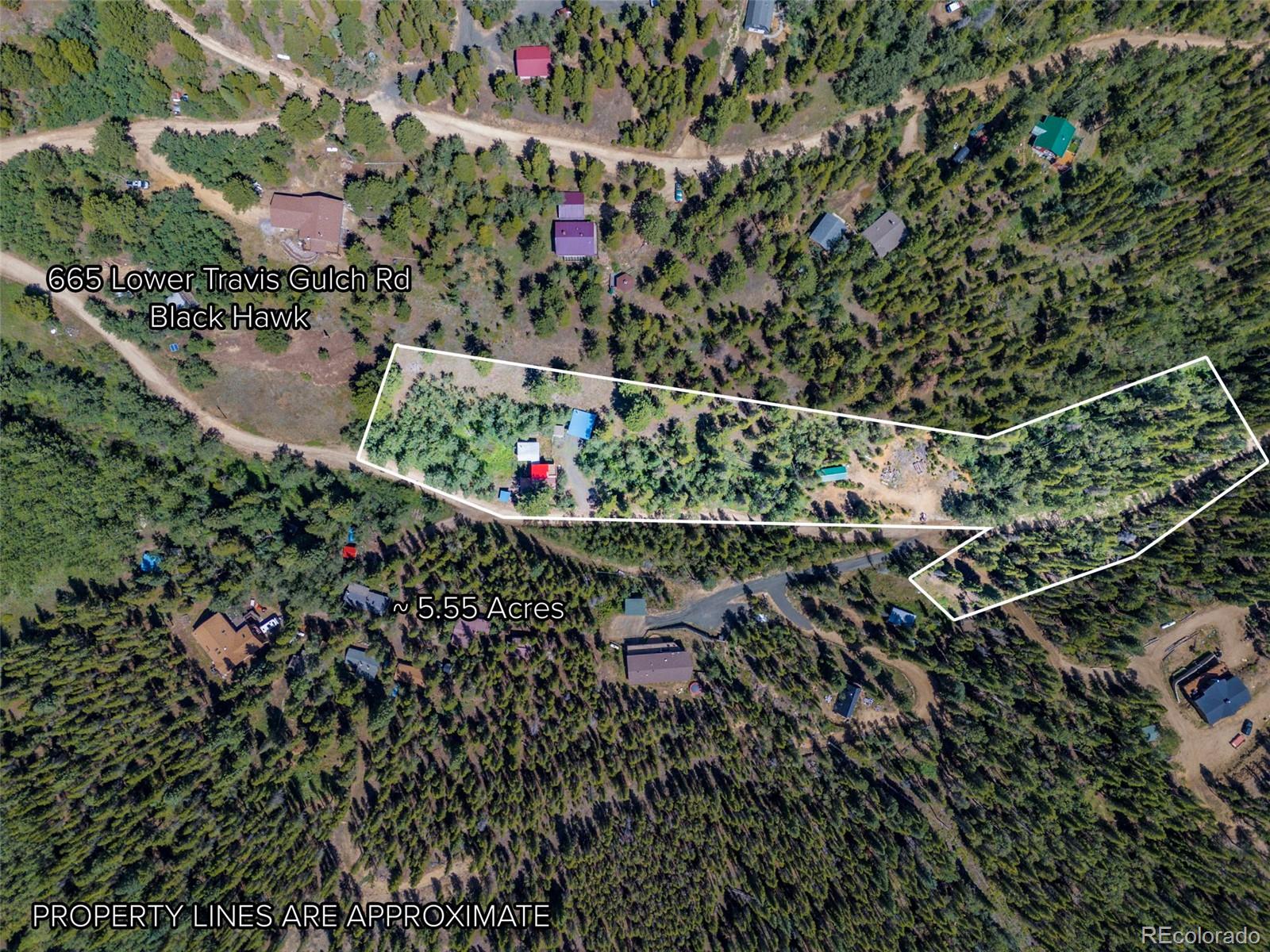 MLS Image #4 for 665  lower travis gulch road,black hawk, Colorado