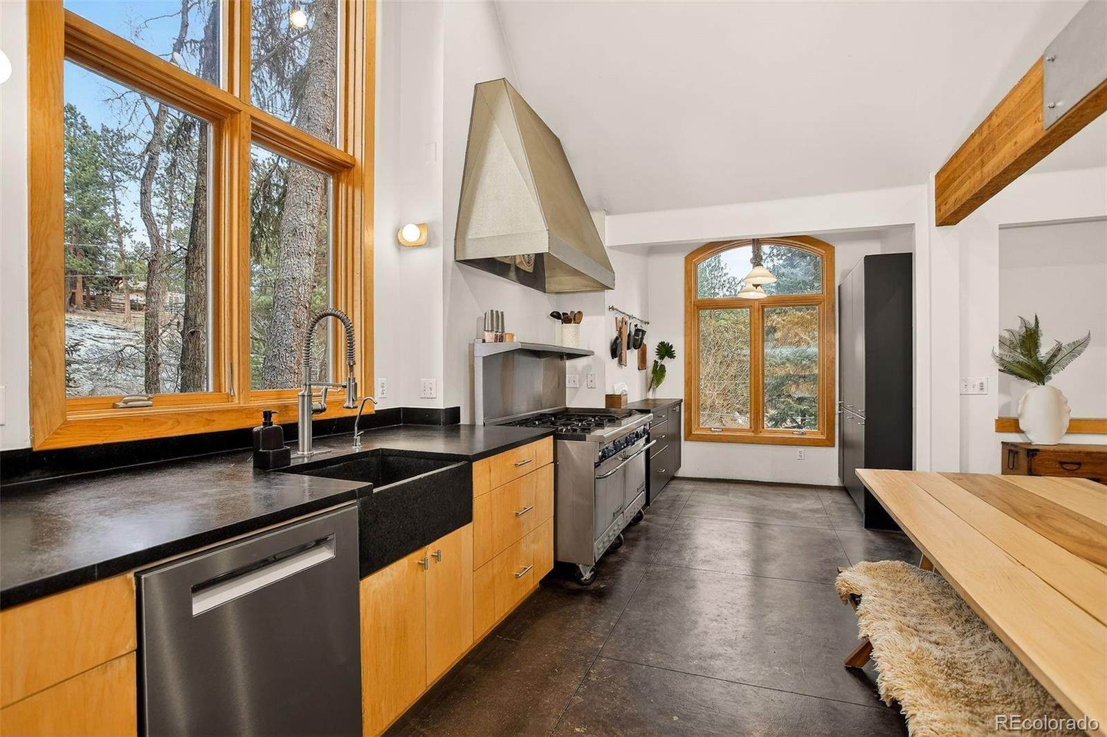 MLS Image #10 for 24844 n turkey creek road,evergreen, Colorado
