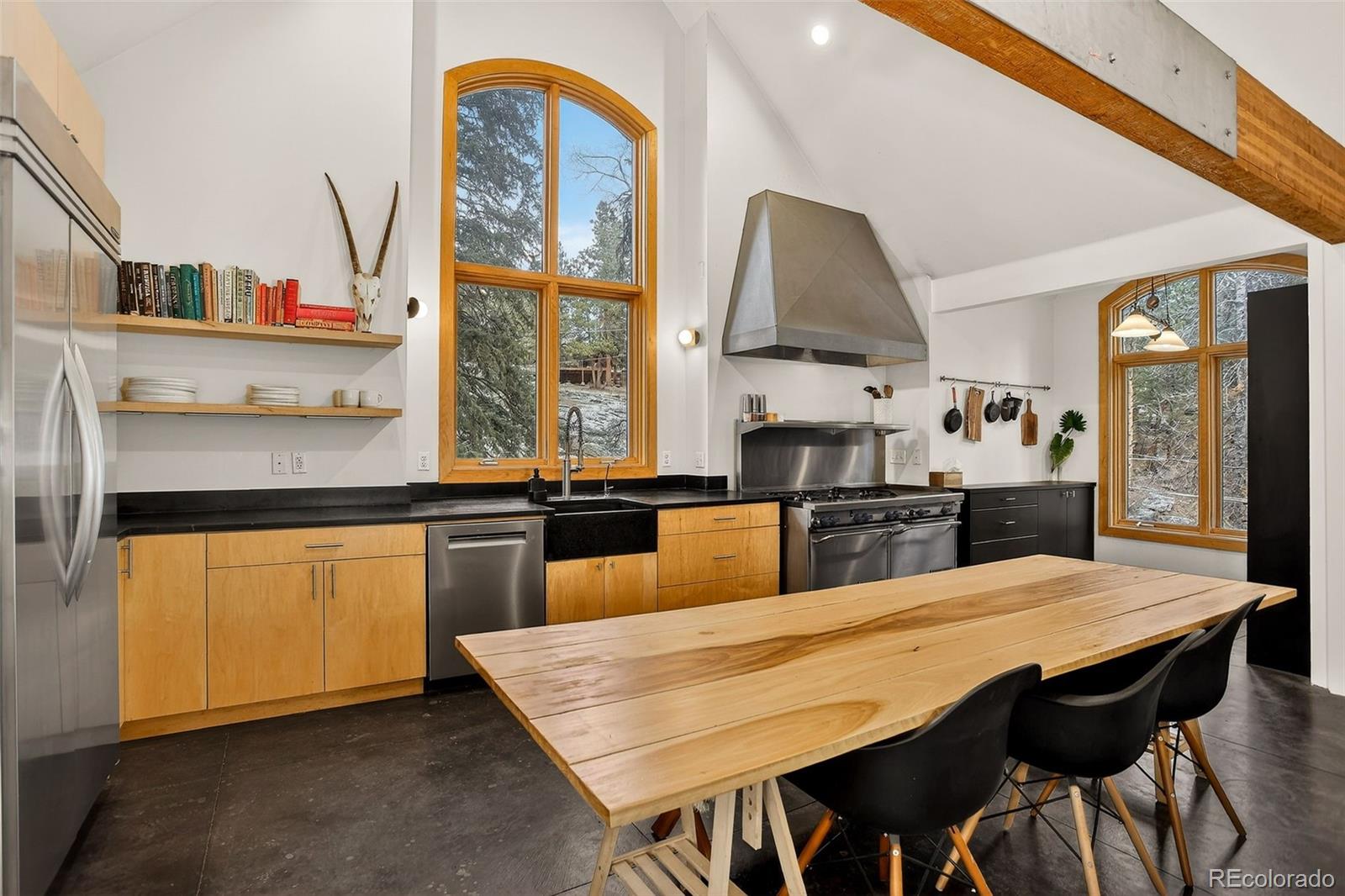 MLS Image #11 for 24844 n turkey creek road,evergreen, Colorado