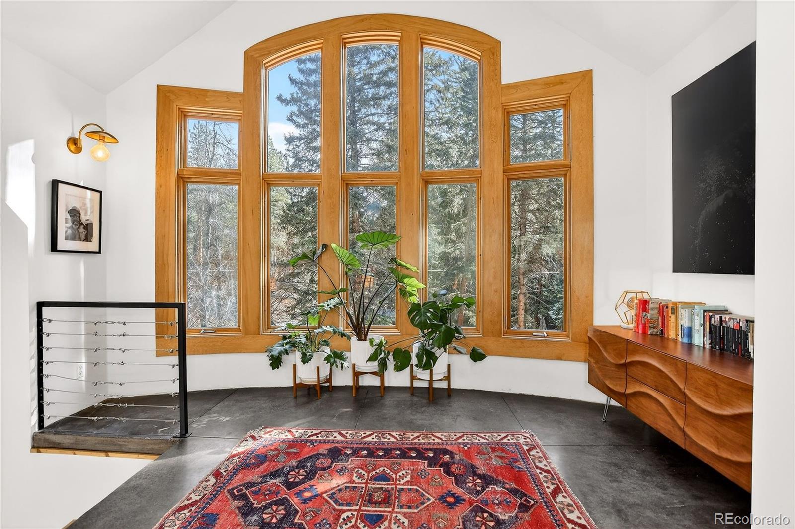 MLS Image #12 for 24844 n turkey creek road,evergreen, Colorado