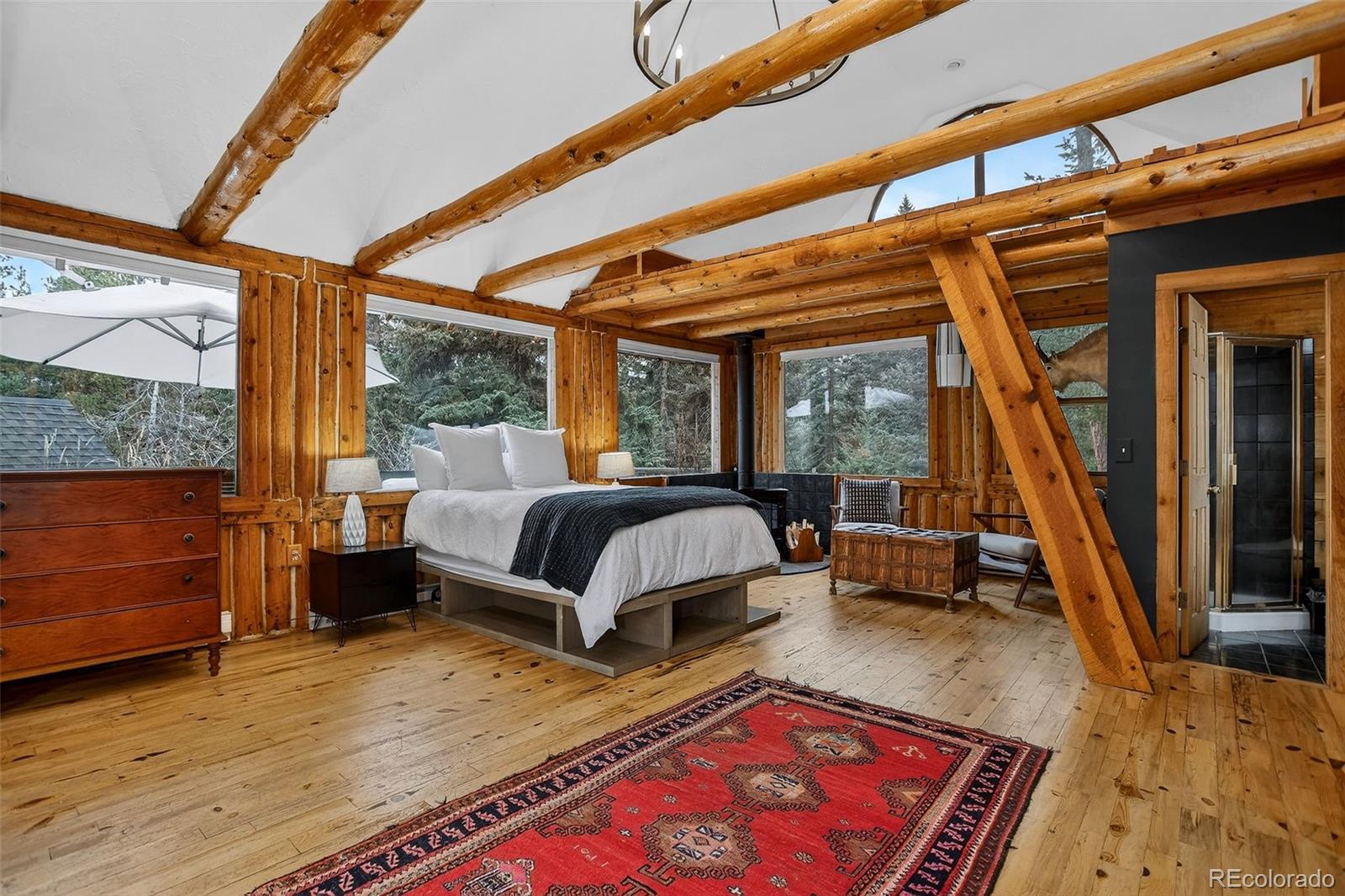 MLS Image #14 for 24844 n turkey creek road,evergreen, Colorado