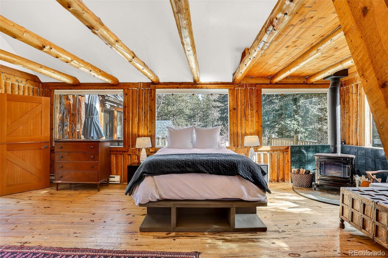 MLS Image #17 for 24844 n turkey creek road,evergreen, Colorado