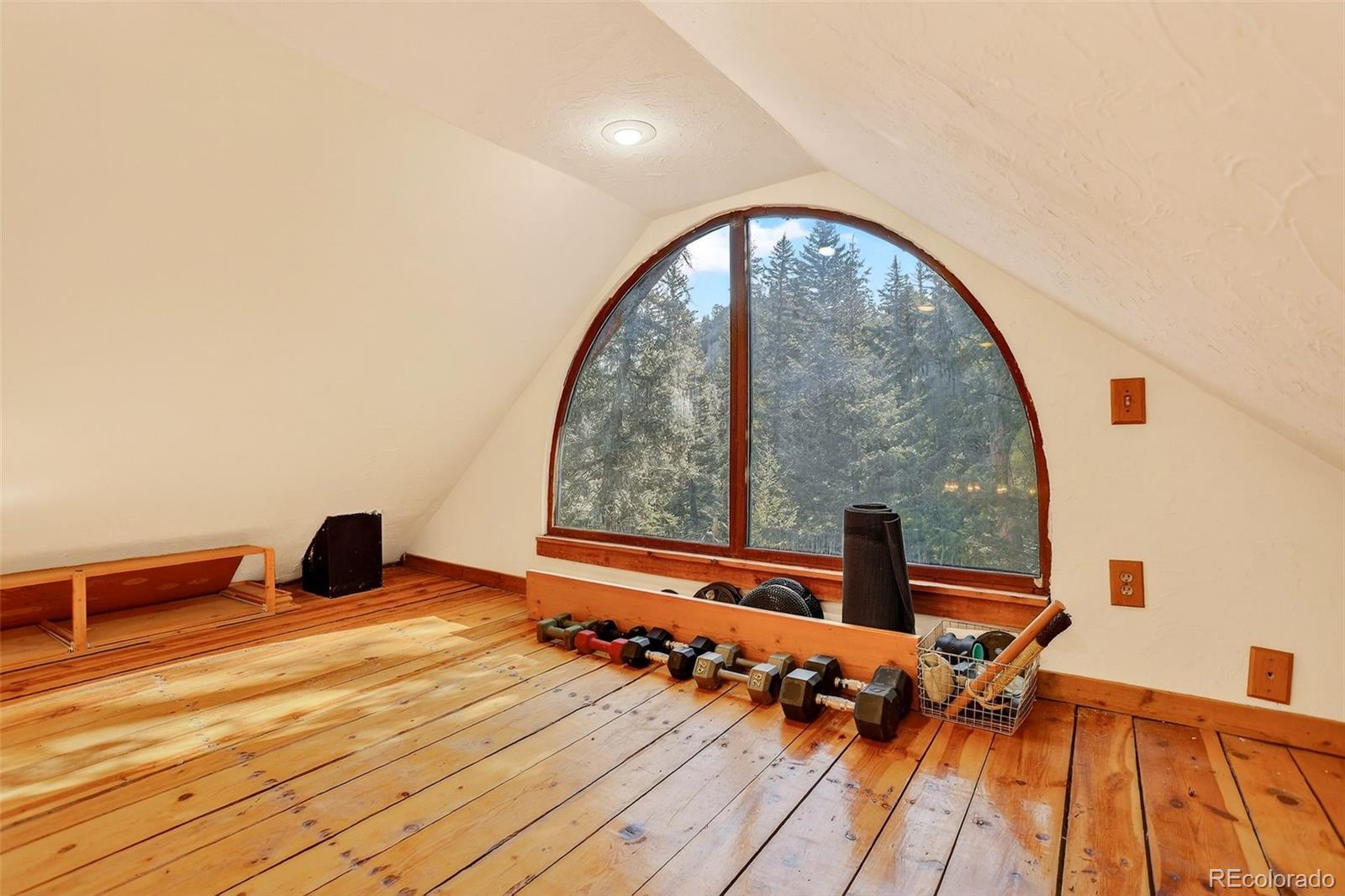 MLS Image #19 for 24844 n turkey creek road,evergreen, Colorado