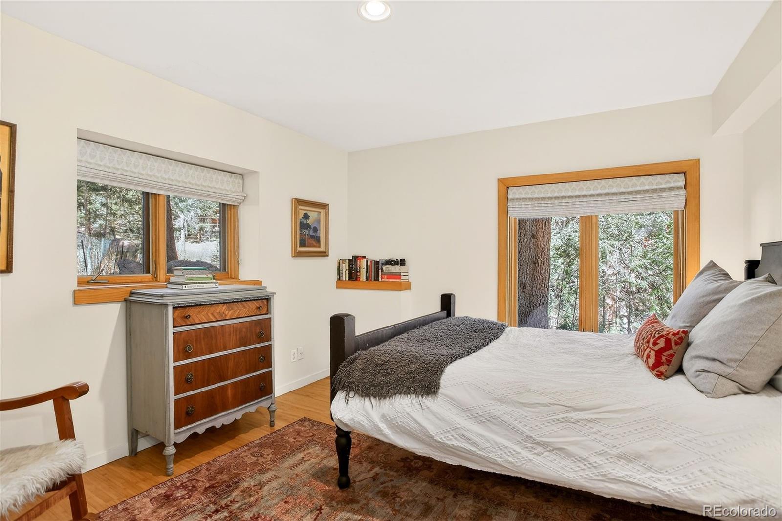 MLS Image #20 for 24844 n turkey creek road,evergreen, Colorado