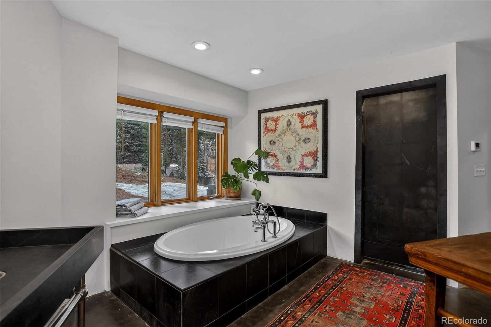 MLS Image #26 for 24844 n turkey creek road,evergreen, Colorado