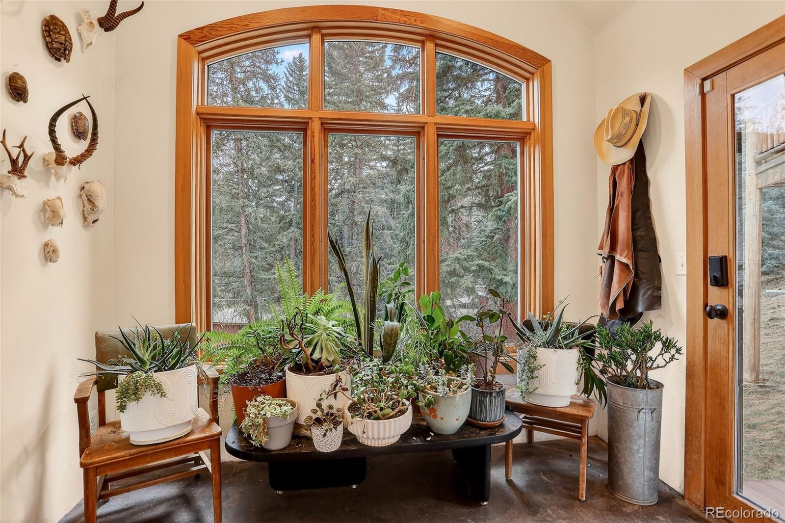 MLS Image #28 for 24844 n turkey creek road,evergreen, Colorado