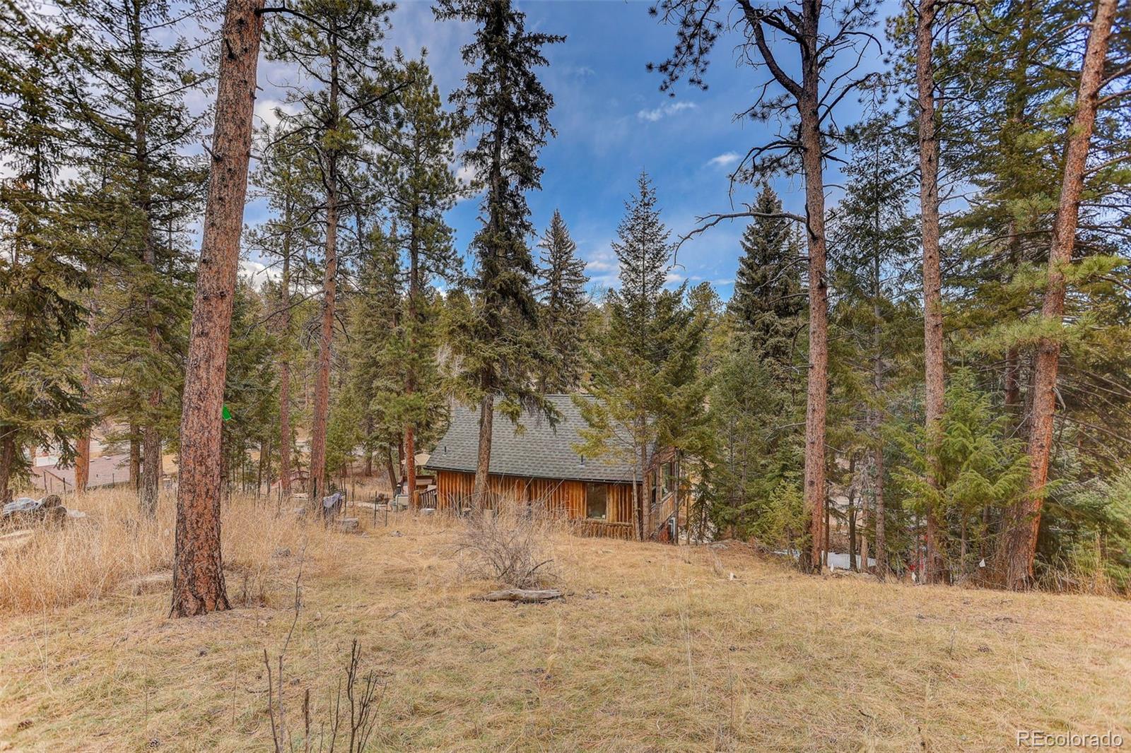 MLS Image #32 for 24844 n turkey creek road,evergreen, Colorado