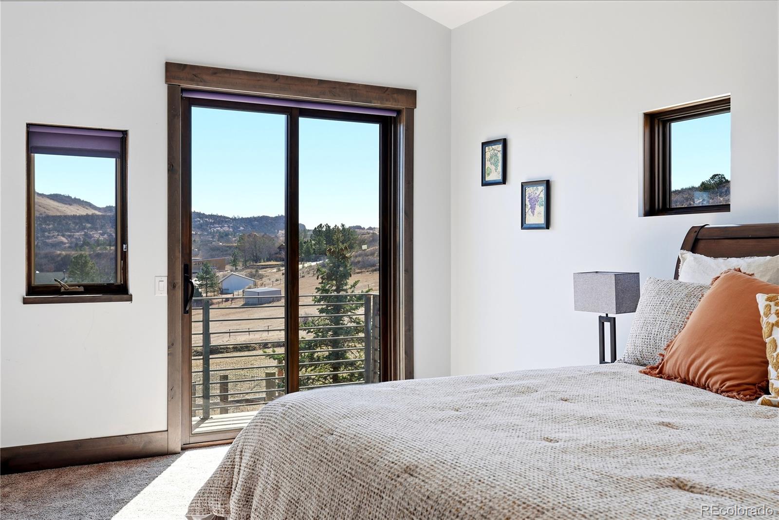MLS Image #23 for 12947  lazy dog lane,littleton, Colorado